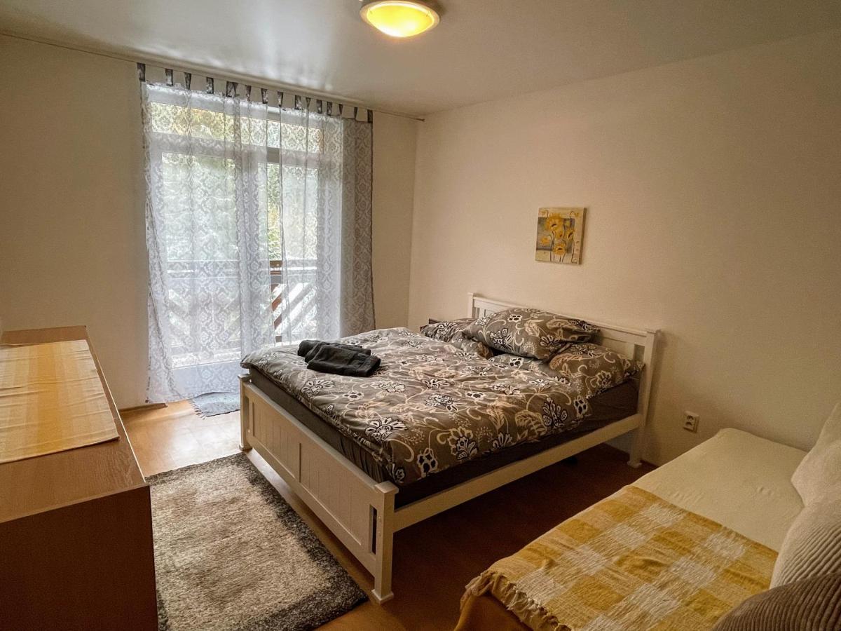 Apartman & Studio Tyrkys Spiezovec دونوفالي المظهر الخارجي الصورة