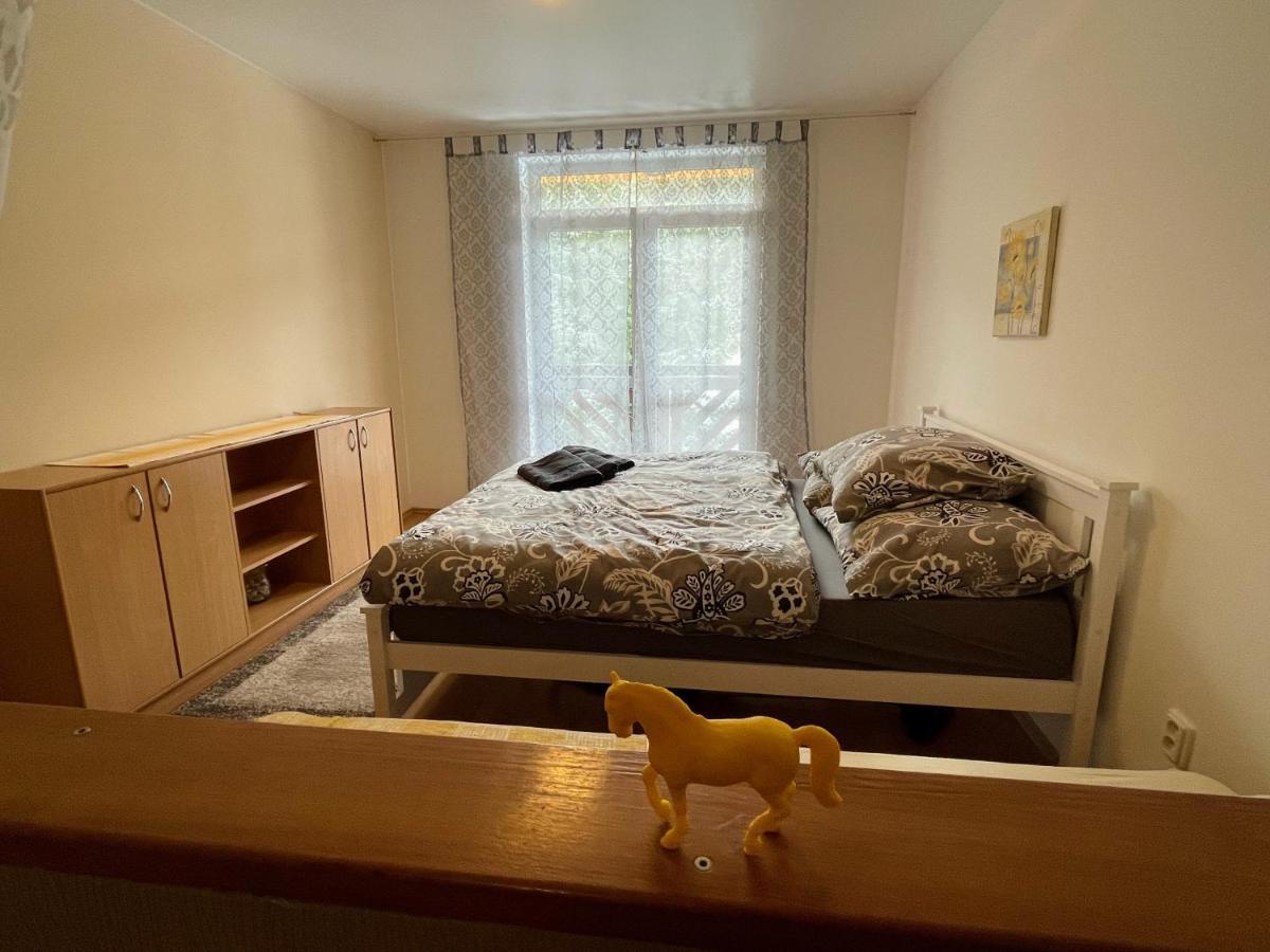Apartman & Studio Tyrkys Spiezovec دونوفالي المظهر الخارجي الصورة